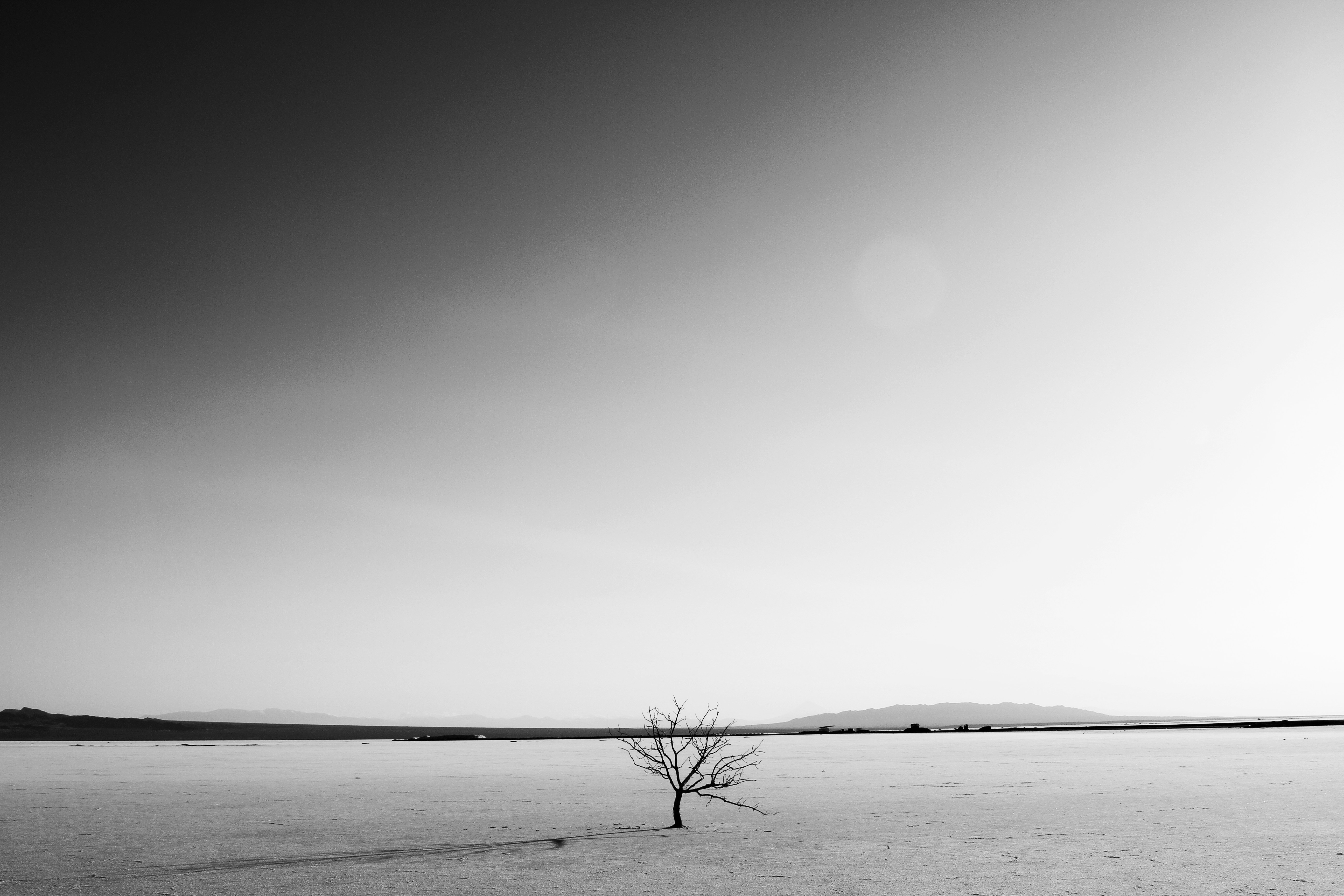 Open landscape with horizon